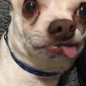 Meet your Posher, Deb